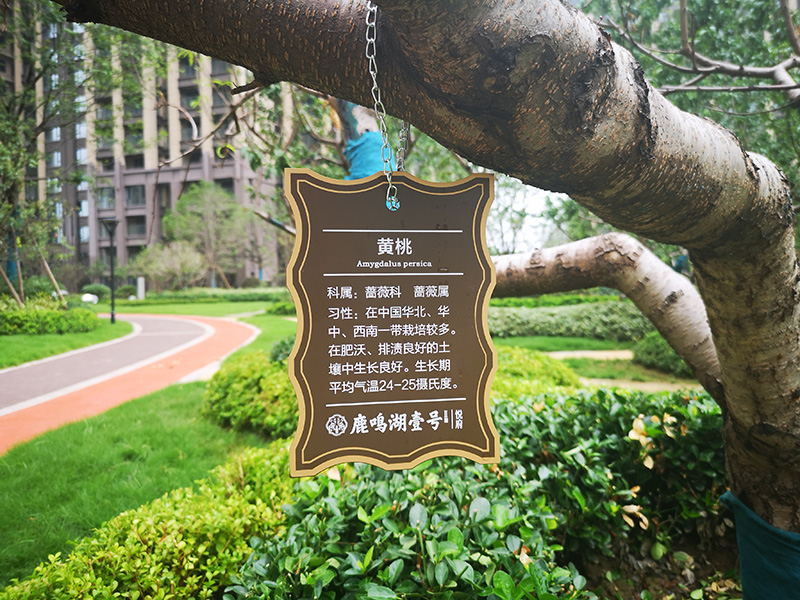 景区标识标牌